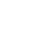 Franchise Store Icon